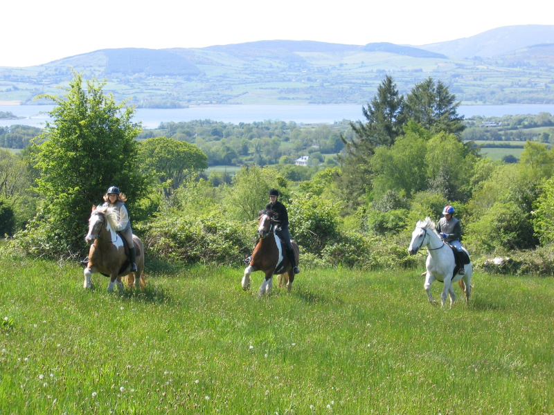 Paardvakantie Ierland