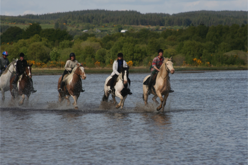 Paardvakantie in Ierland