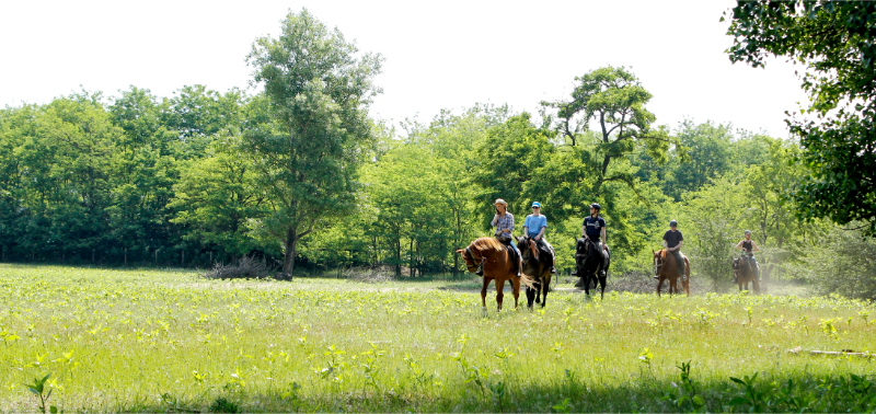 Te paard in Hongarije