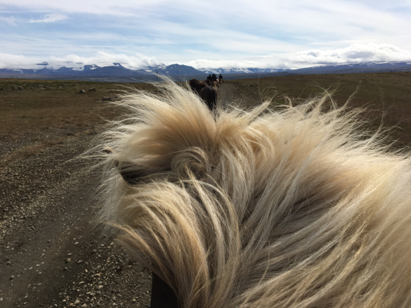 Trektocht in Ijsland