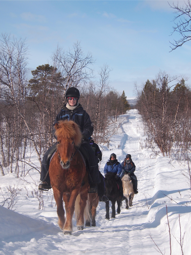 Te paard in Zweden