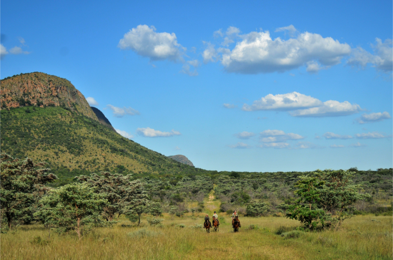 Te paard in Zuid-Afrika