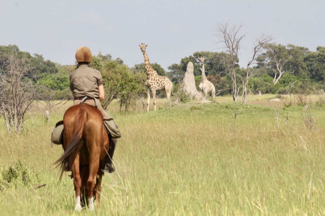 Paardvakantie Botswana