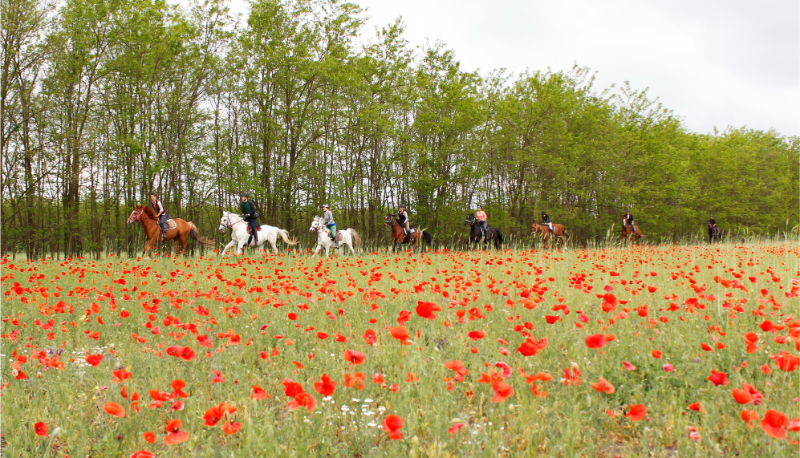 Trektocht Hongarije