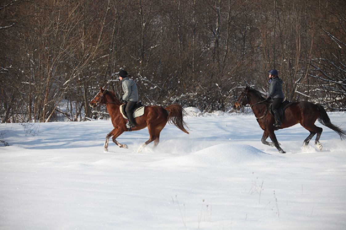 roeqsstp_001.jpg roeqsstp_001.jpg