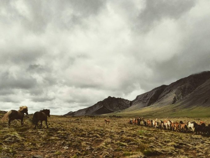 Trektocht IJsland