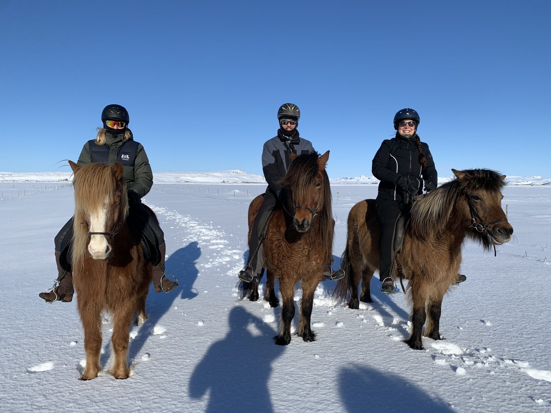 Wintertochten te paard en Noorderlicht zien op IJsland