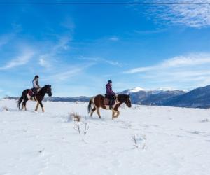 Wintervakantie te paard in Sarajevo